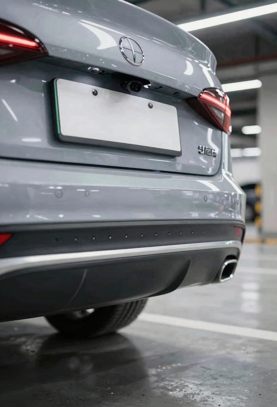 visual information prevents collisions
